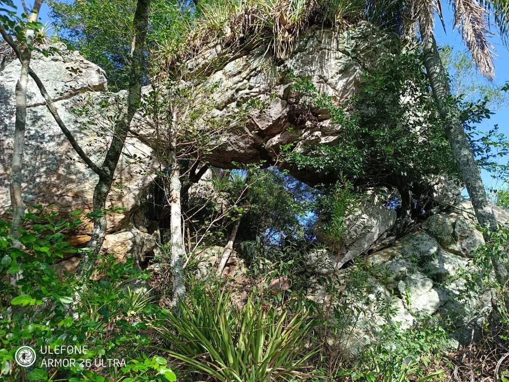 img-3