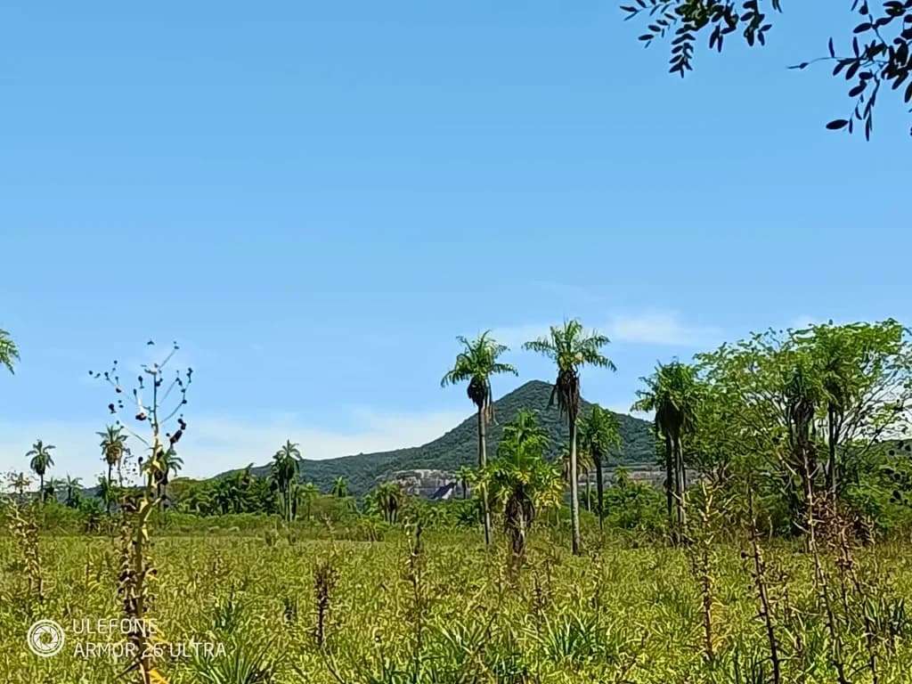 img-1