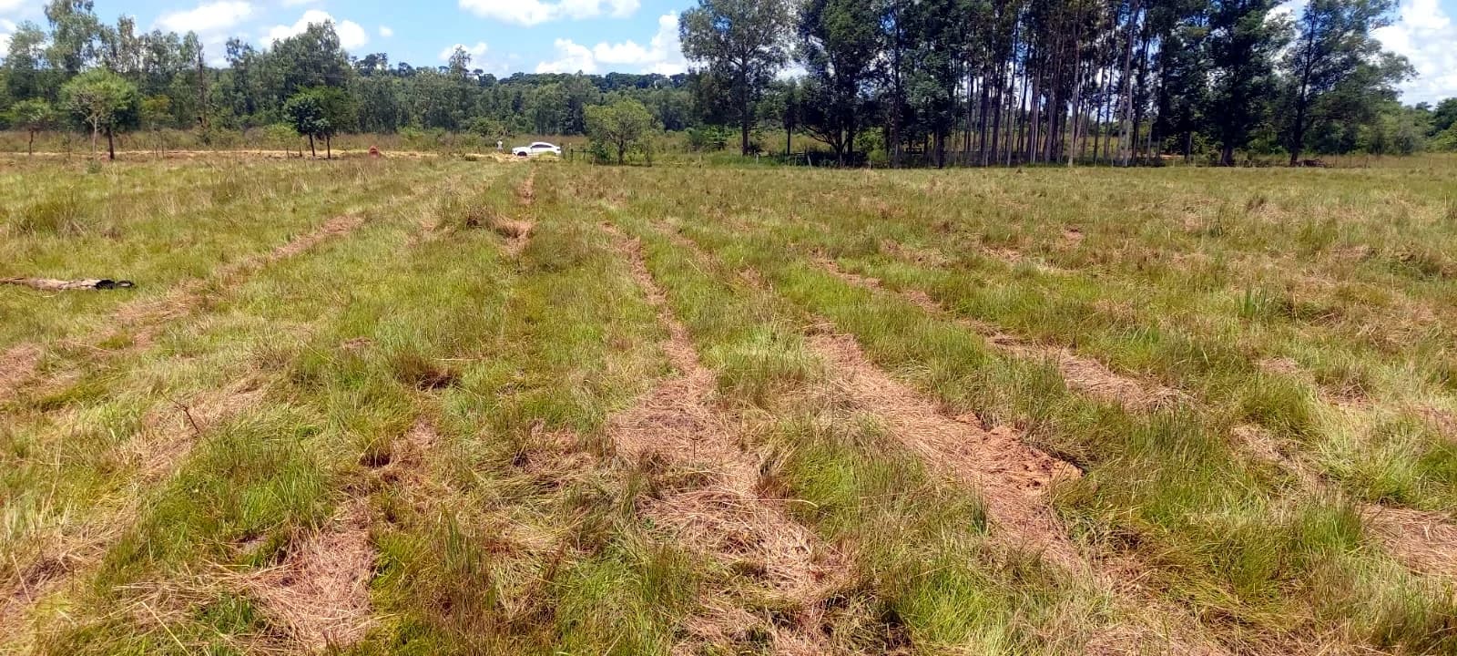 VENDO 20 HECTÁREAS EN ARROYOS Y ESTEROS — RUTA ASFALTADA Y COSTA AL RÍO PIRIBEBUY