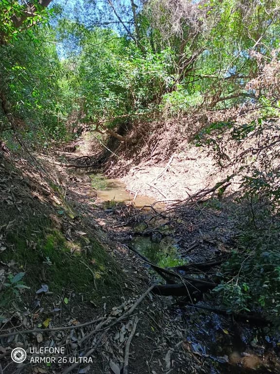 38 ha Con río, ideal ganadería, turismo o loteamiento - Tebicuarí