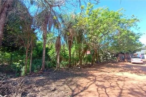 Oportunidad en Isla Bogado, Luque!