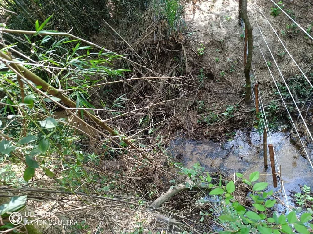 4,7 ha con arroyo, bosque y vista al cerro – La Colmena