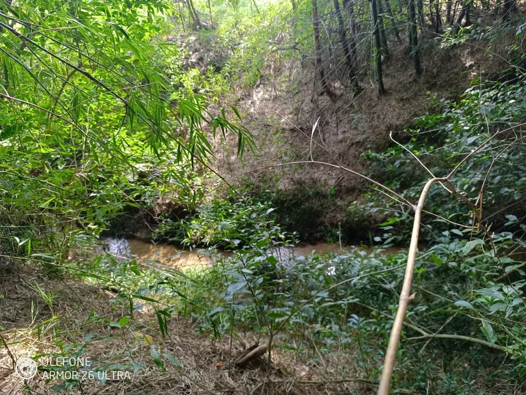 4,7 ha con arroyo, bosque y vista al cerro – La Colmena