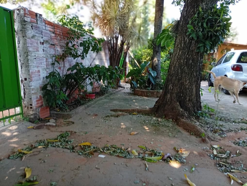 Terreno en Fernando de la Mora zsur a cuadras del Abasto 