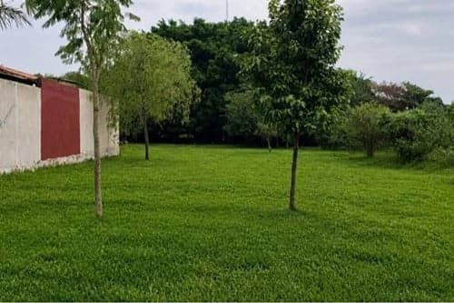 DOS TERRENOS JUNTOS EN LUQUE - YCUA DURE