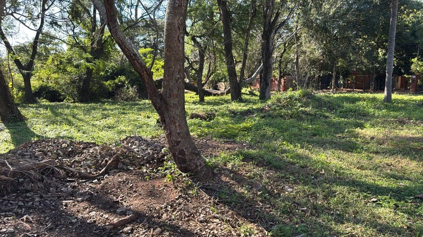 Terreno 480 m2 en San Bernardino
