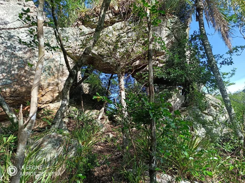 img-2