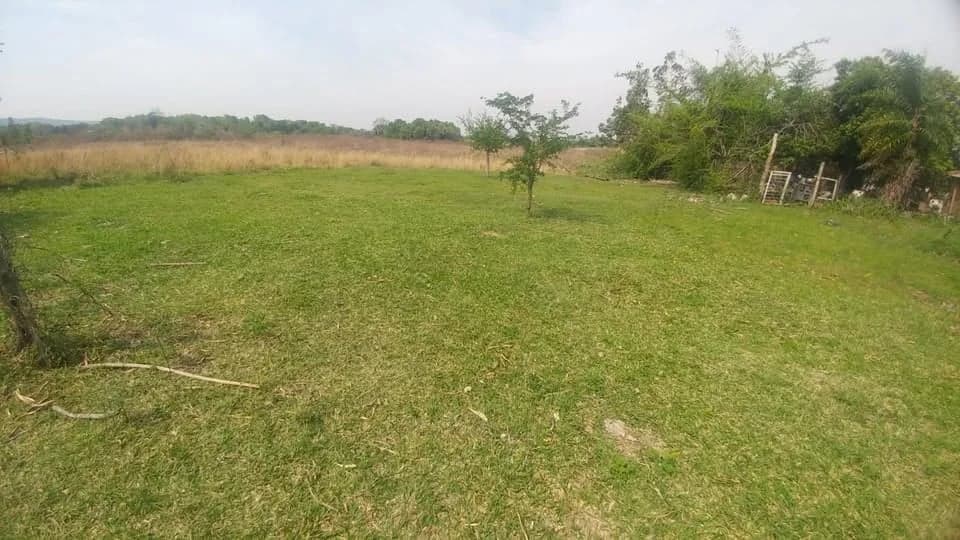 Vendo 3 Terrenos KM42 Ruta 2