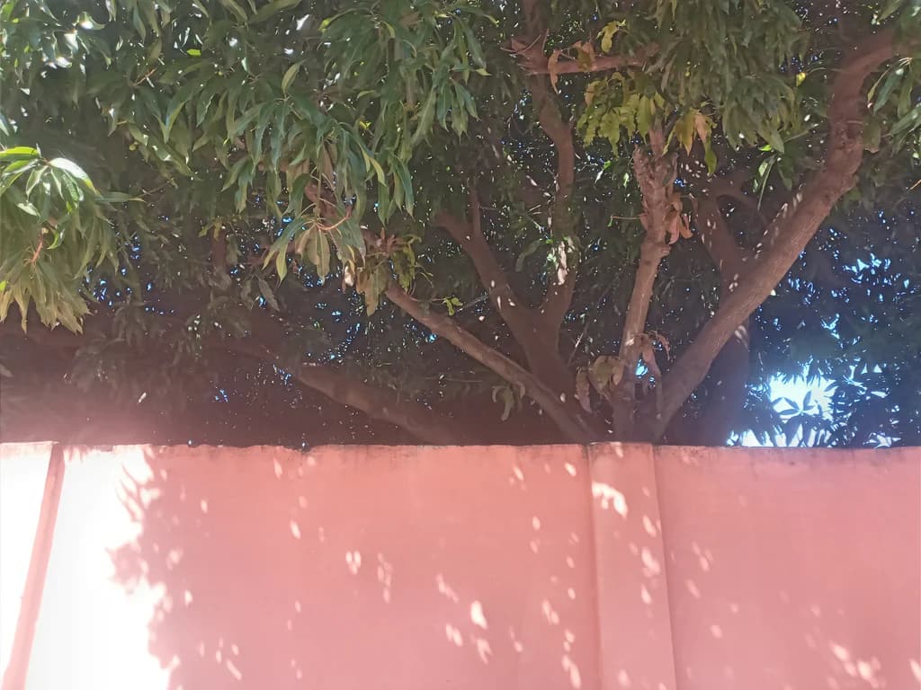 casa a 4 cuadras de ruta acceso sur, todo asfaltado. ñemby, barrio pa,i ñu, 