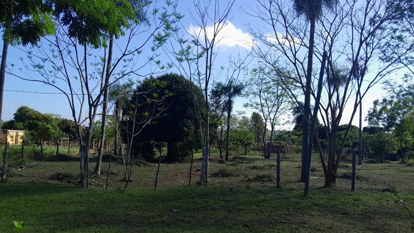 Atyra 4 terrenos juntos o individuales - A pasos de la zona céntrica, foto principal
